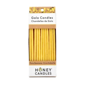 Box of 12 tall yellow Honey Candles birthday candles